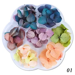 Hot Sale Nail Dried Flowers Starry Leaves Flower 3d Nail Art Sticker For Tips Manicure Decor Mixed Accessories