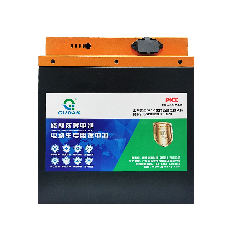 Customizable 1V1 service high quality e bike 36V 48V lifePO4 battery lithium batterie pack