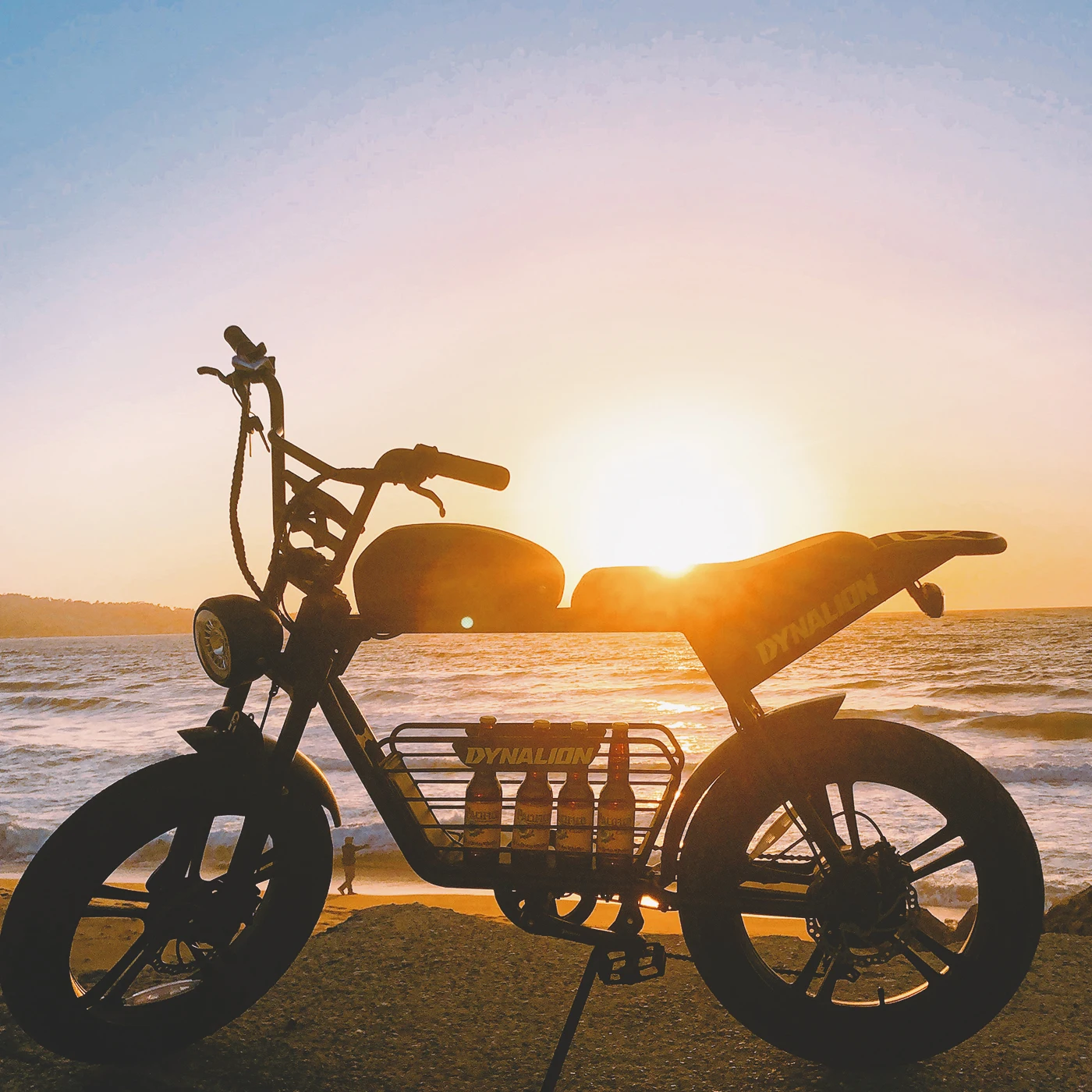 Cheap Price Electric Bicycle Dynalion Fat Tire 48V 1000W Electric Bike