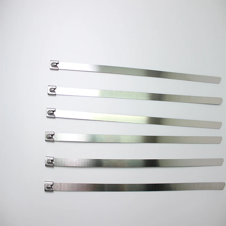 
Professional Manufacturer Stainless Steel Barb Cable Tie 
