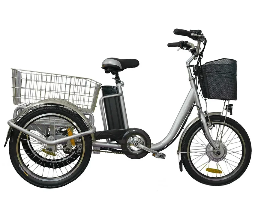 36V 20 Inches Tricycle Electric 250W 3 Wheel Electric Bike With Basket (EB01)