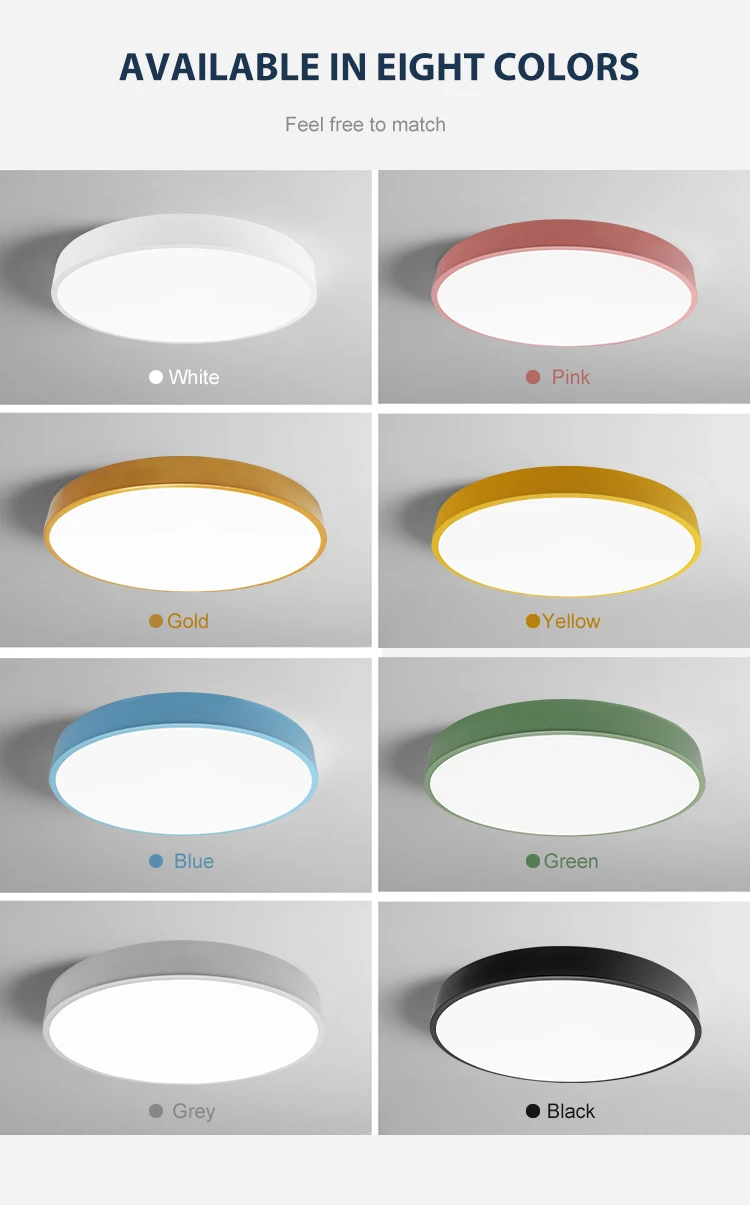 Ceiling light 8754  04.jpg