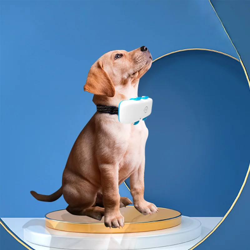 water proof 4g gps pet tracker pet tracker collar dropshipping