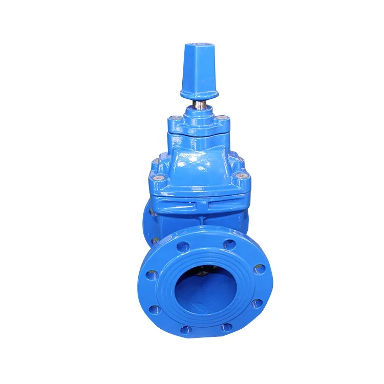 Ansi Cast Iron Threaded Gate Valve Price List Philippines