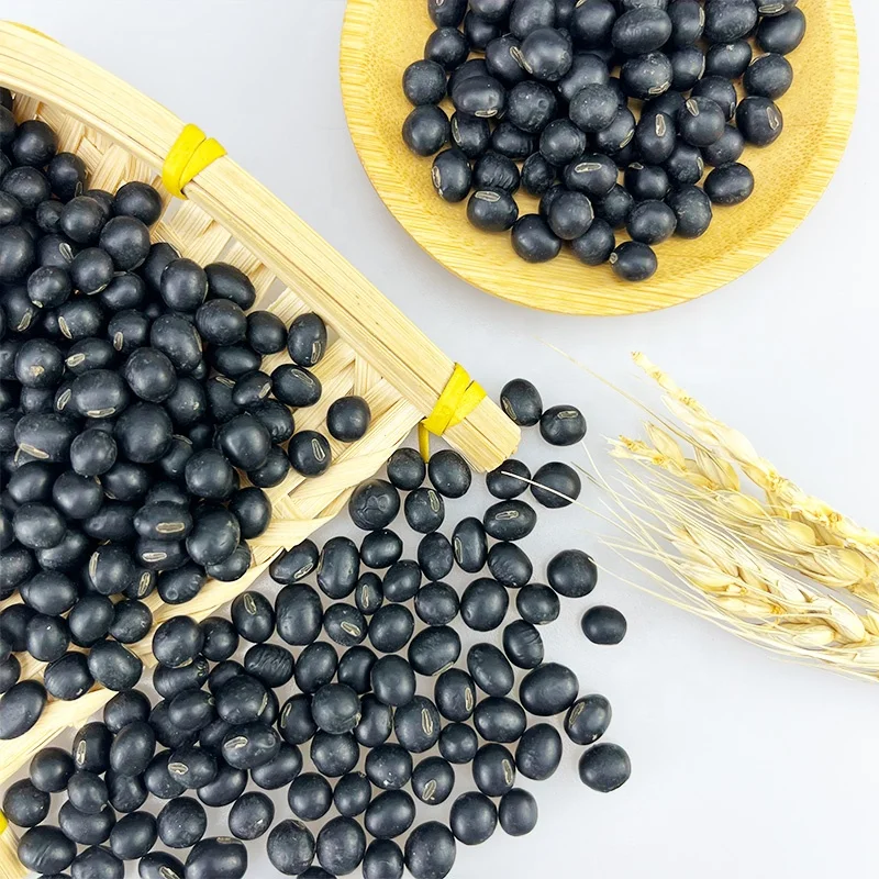 New Crop China Original NON GMO Black Bean With Green/Yellow Kernel For Porridge OR Milk