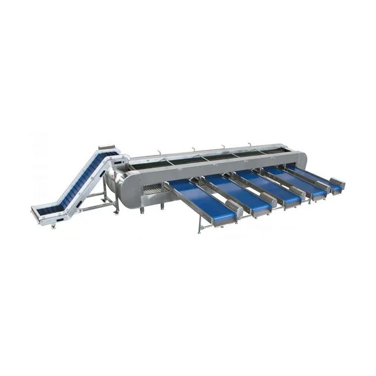 304 Stainless steel fruits grading machine pear sorting machine