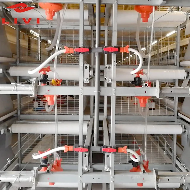 New Design Reasonable Price Chicken Poultry Farm Broiler Battery Cage for Growing Broiler Chicken Rate Cages