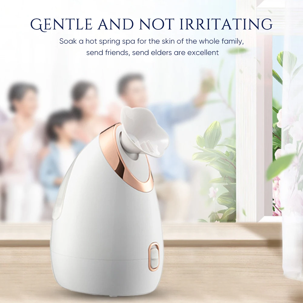 Sprayer Face Humidifier Professional High Quality Home Use Cheap Nano Ionic Facial Steamer for Skin Moisturizing