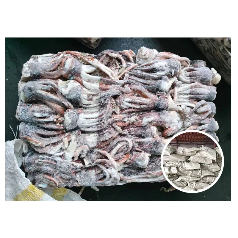 Raw Meat New Processing Calamari Tentacles Material Argentina Frozen Illex Squid Head