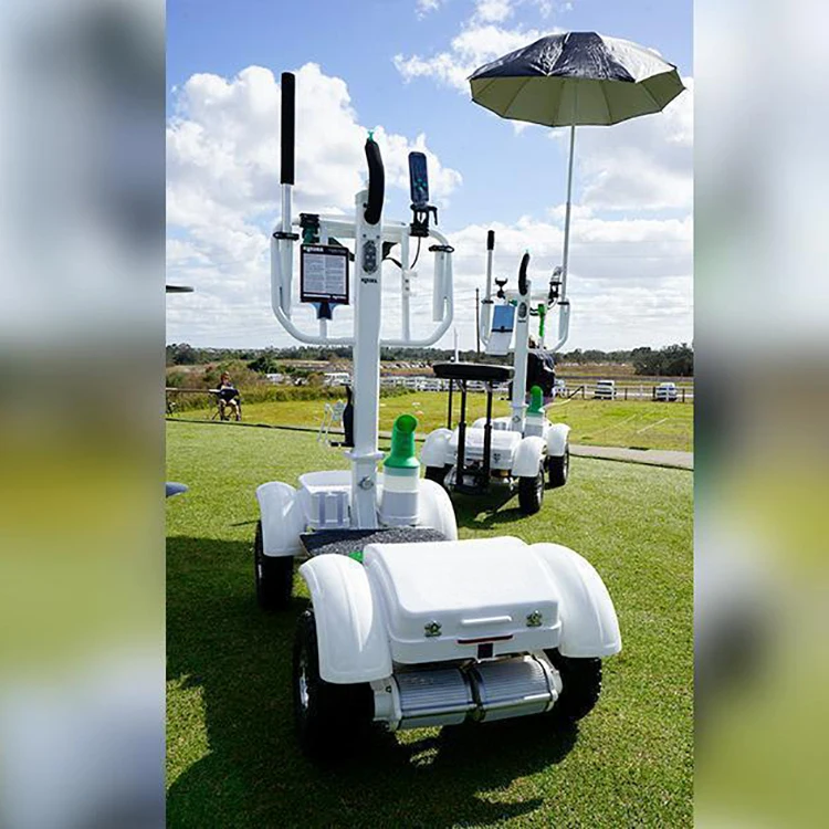 
2021 new Hot sell high speed 1000W 36V 30AH Self-Balancing Electric Scooters 4 Wheel electric golf board Electric Golf Carts 