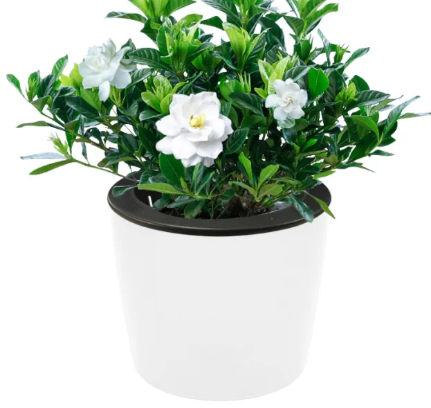 Self -absorbing plastic flower pot Creative showing water pots indoor and outdoor  high -quality flower pot
