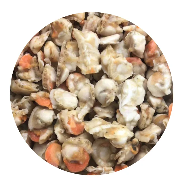 New Season Frozen Quality Frozen Scallop Meat