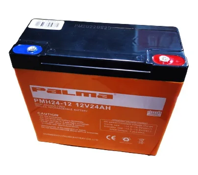 Palma Ebike 12V 24AH VRLA Battery Electric Wheelchair Accumulator Auxiliary Batteries