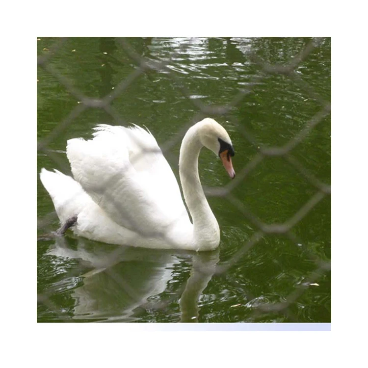 Stainless Steel Aviary Mesh Bird Netting The Big Zoo Stainless Steel Wire Rope Mesh Bird Cable Netting Aviary Mesh