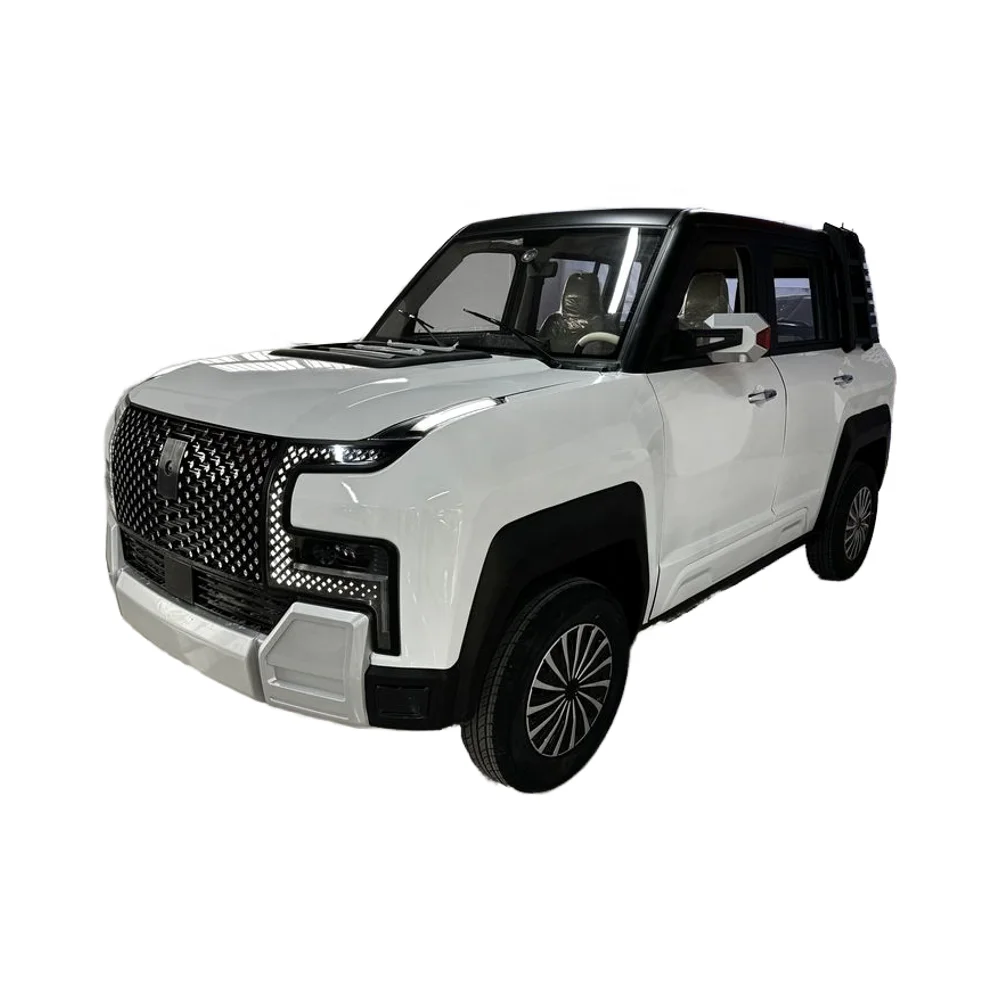 Hot Adult Four-Wheel Mini Electric Small Car Made in China New Energy Vehicle