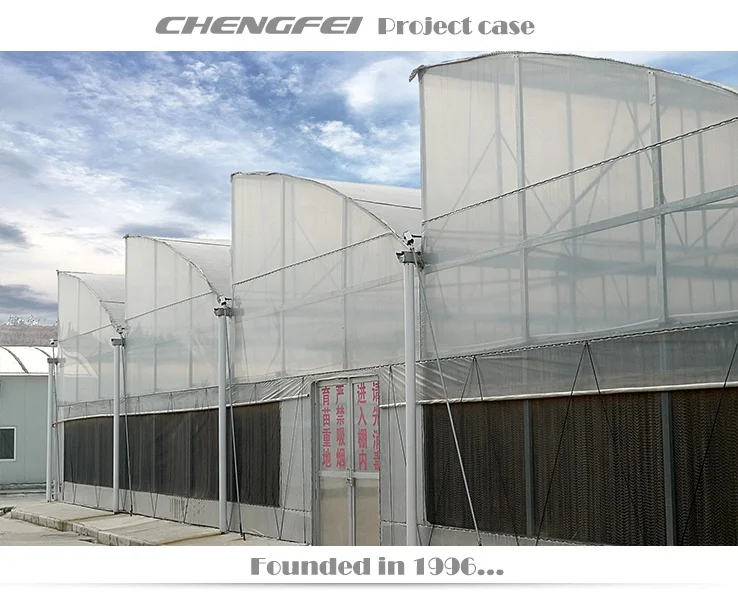 Customizable size Agricultural Low Cost Plastic Film Covered Sawtooth Greenhouse