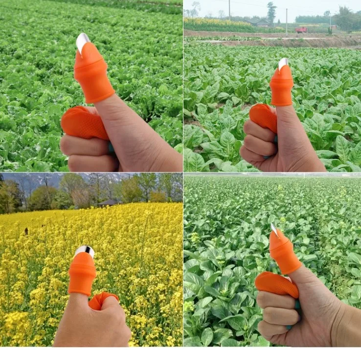 Maternal finger knife pepper picking , iron fingernail picking beans, horns, tea, grapes, vegetables, for fruit cutter