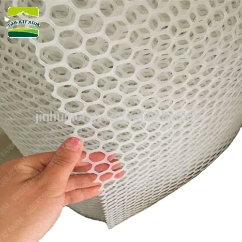 China Factory Wholesale Poultry/Chicken Plastic Net Floor Poultry Farm Flooring Animal Husbandry Equipment