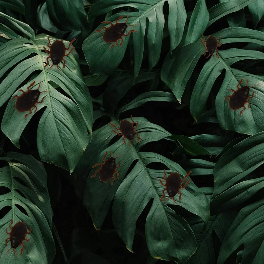 Cockroach Toys for Kids Roach Prank Toys for Boys and Girls Creepy Halloween Decoration