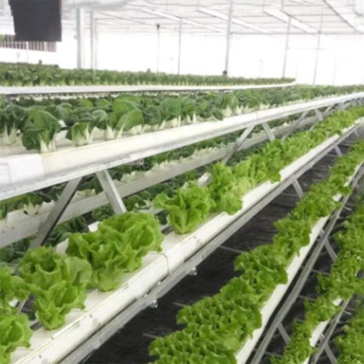 Vertical Farming Aquaponics Growing Systems Tower Garden Hydroponics Farm Hydroponic Systems