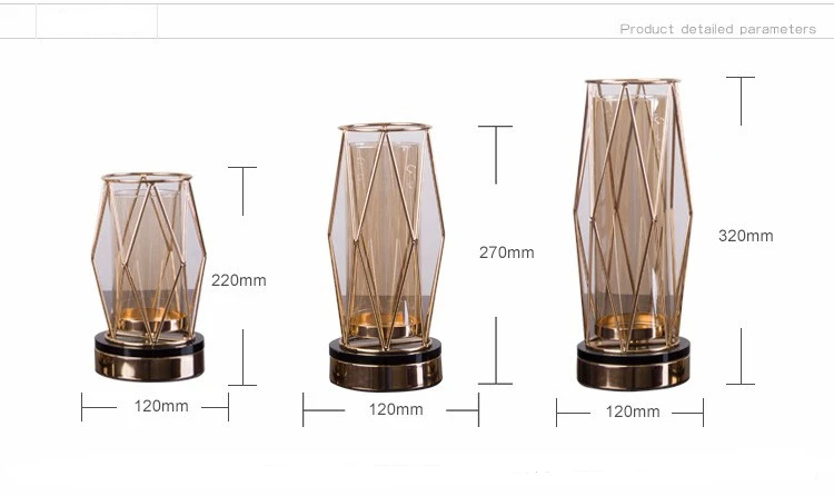 Роскошные золотые круглые металлические пустотелые вазы для домашнего декора, стеклянный держатель, тестовая трубка, гидропонная железная ваза