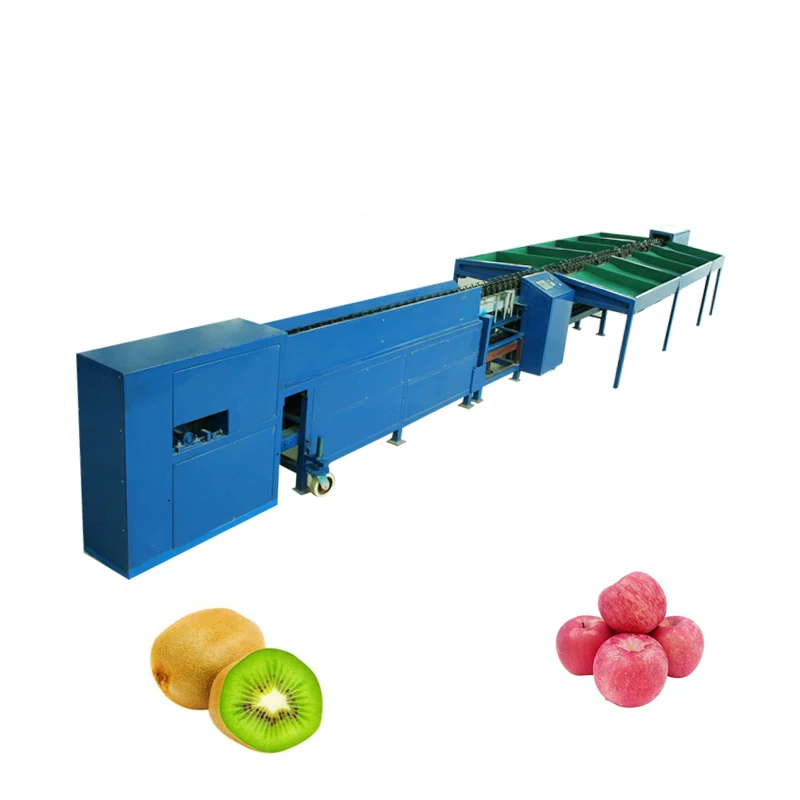 Electronic Fruit Grading Machine Fruit Weight Sorting Machine Orange Sorting Machine
