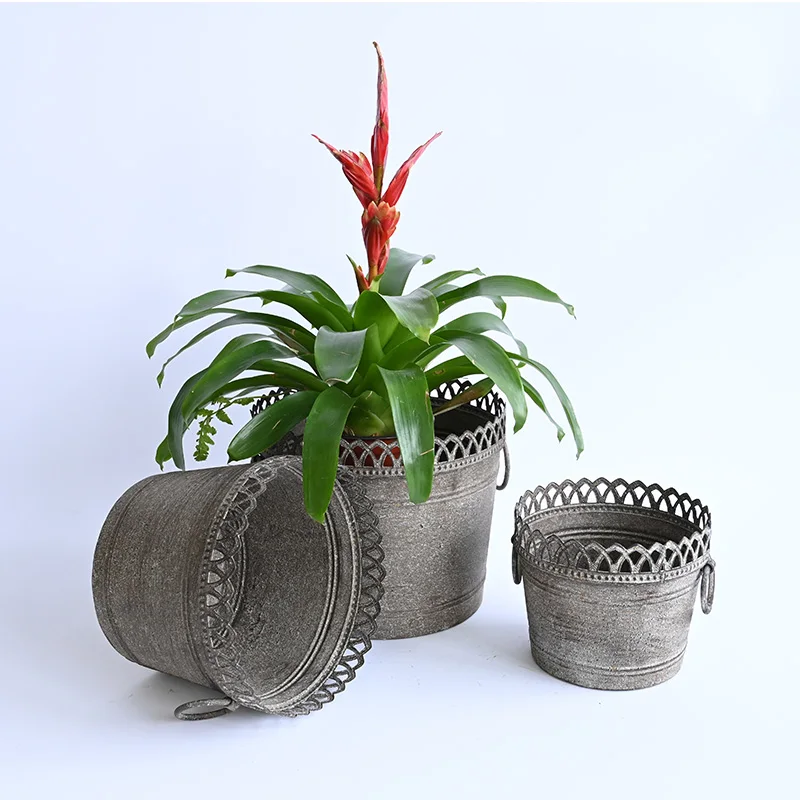 Custom Coated Metal Flower Pot Vintage Design Bucket from China for Indoor Garden and Planting in Hotels