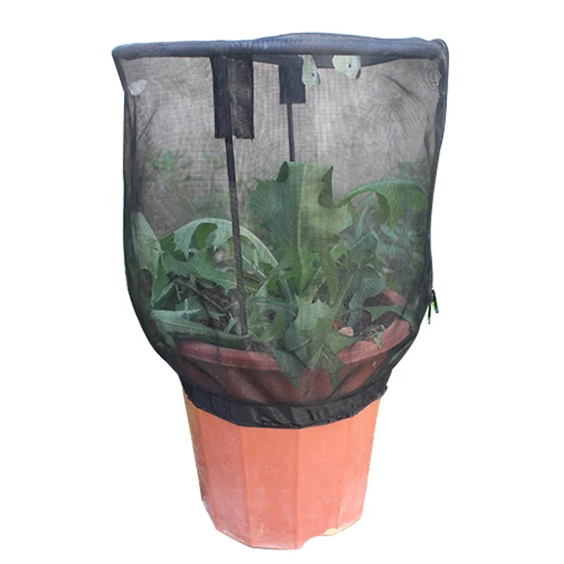 
Black Insect Net Shade Sails & Nets Flower Pot Nets 