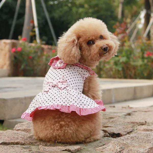 dots bowknot princess dog dress