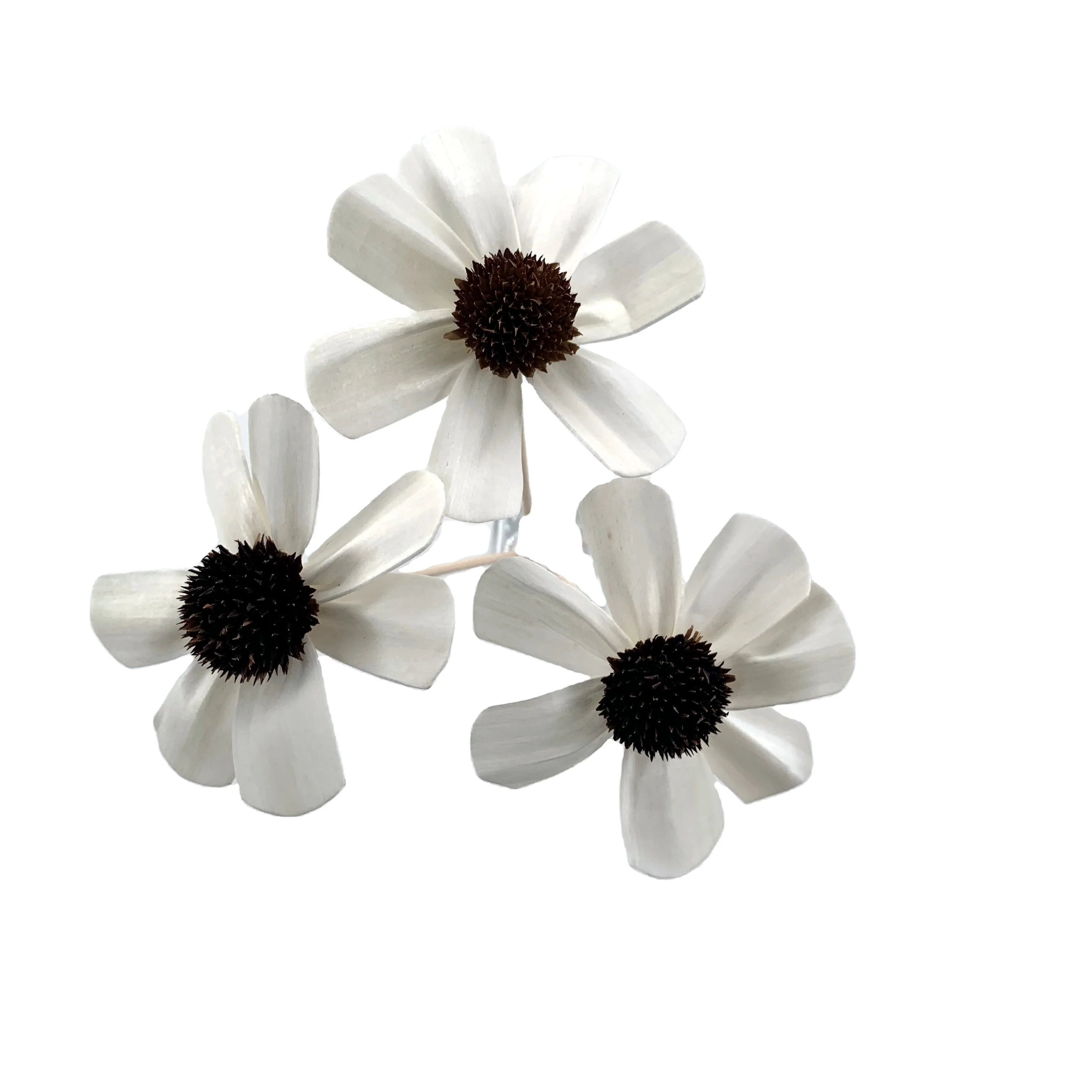 China factory  handmade reed diffuser sola flower dried wood sun Flower with rattan sticks