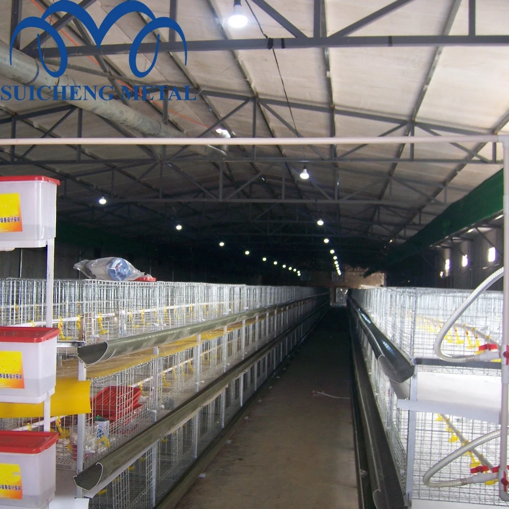 2024 Guangzhou Factory 48 birds capacity Galvanized broiler chicken cages