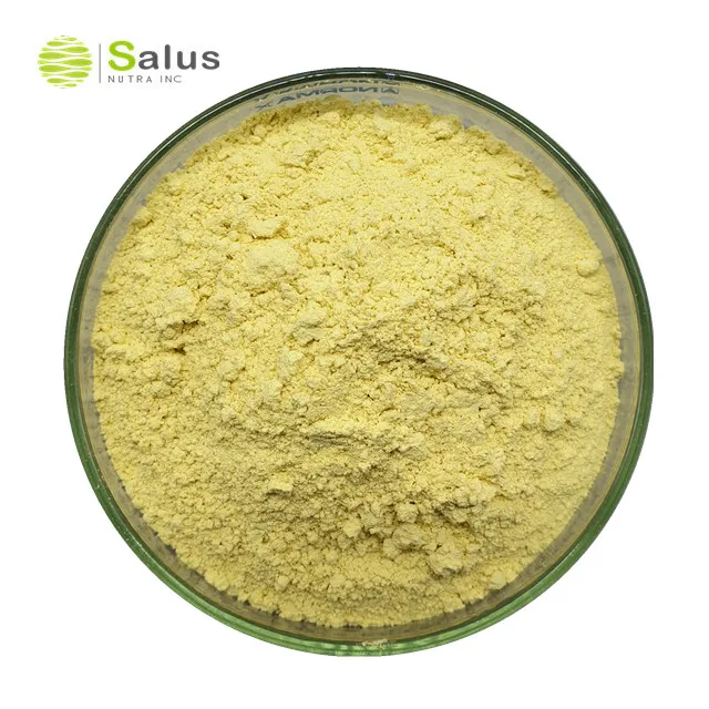 Top Quality Apigenin 98%