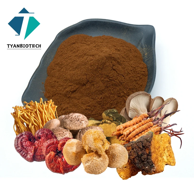 Hot Selling High Quality Mushroom Coffee Blend Powder 10 in 1 Mushroom Coffee Powder