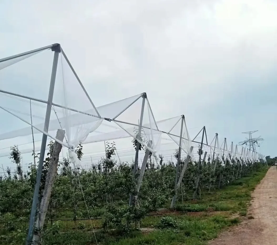 HDPE сельскохозяйственная покрывная пластиковая сетка для защиты от града и мороза против шторма