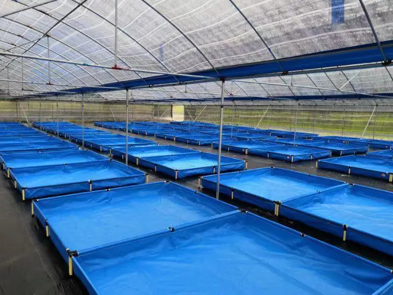 
china large commercial tarpaulin aquarium fish pond seller pvc plastic fish farming tank 