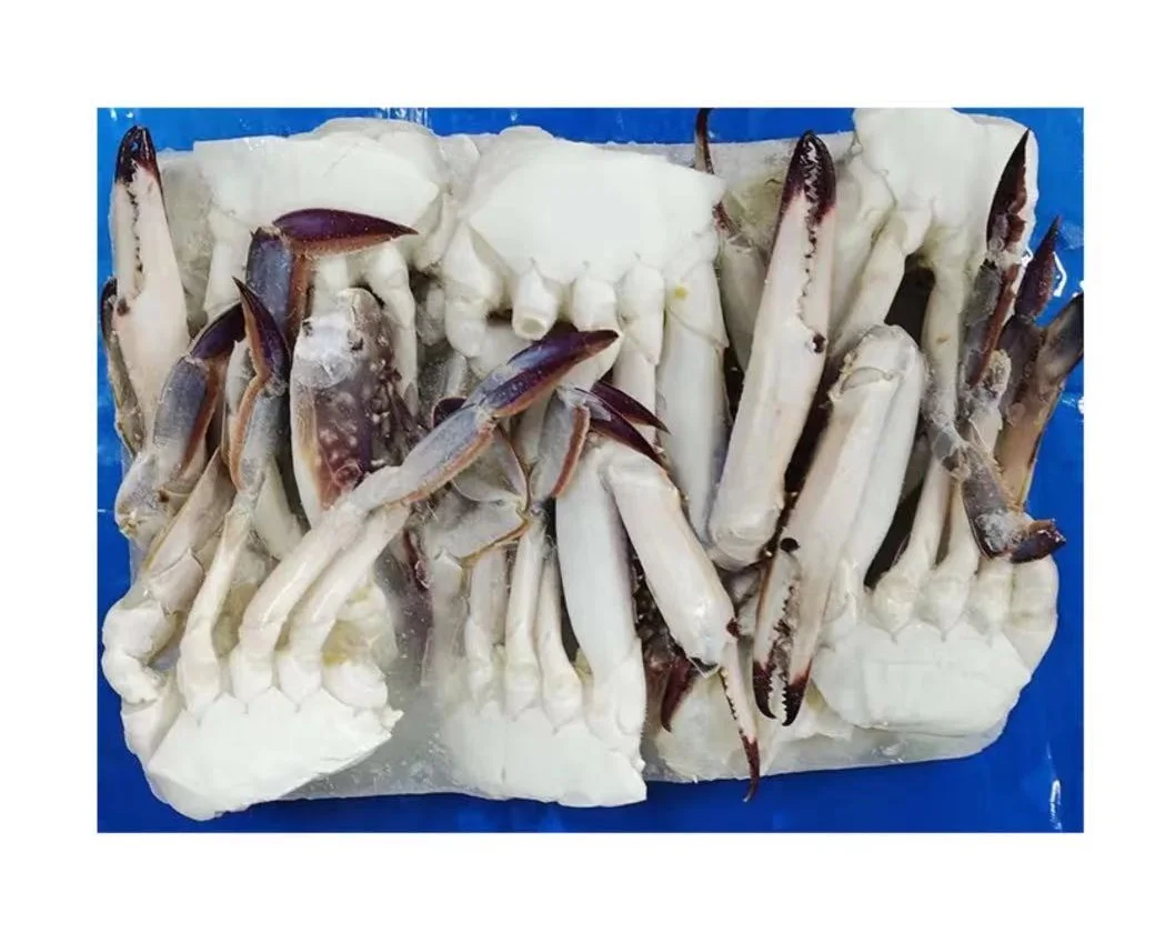 fresh seafood frozen blue swimming crab half cut swimming crab meat BQF frozen