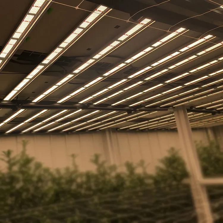 Latest technology innovation 1000W HPS replacement Full Cycle Indoor Greenhouse horticulture LED grow lights