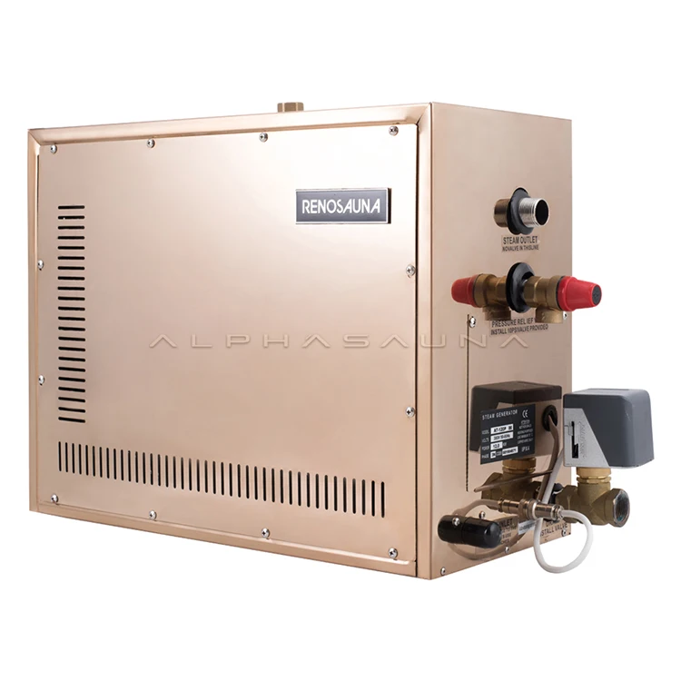 Small Steam Generator 12kw Steam Generator For Shower