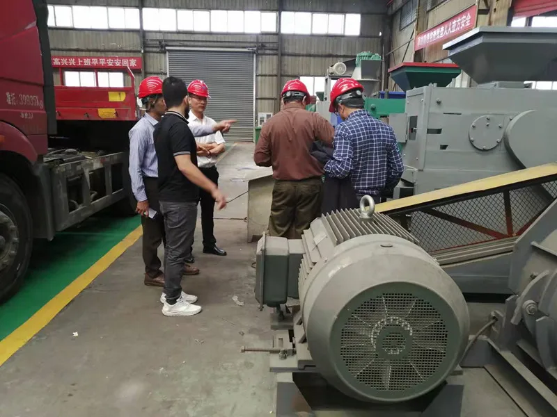 Iron Oxide Powder Briquette Machine/ Briquette Making Machine/ Ball Press Machine