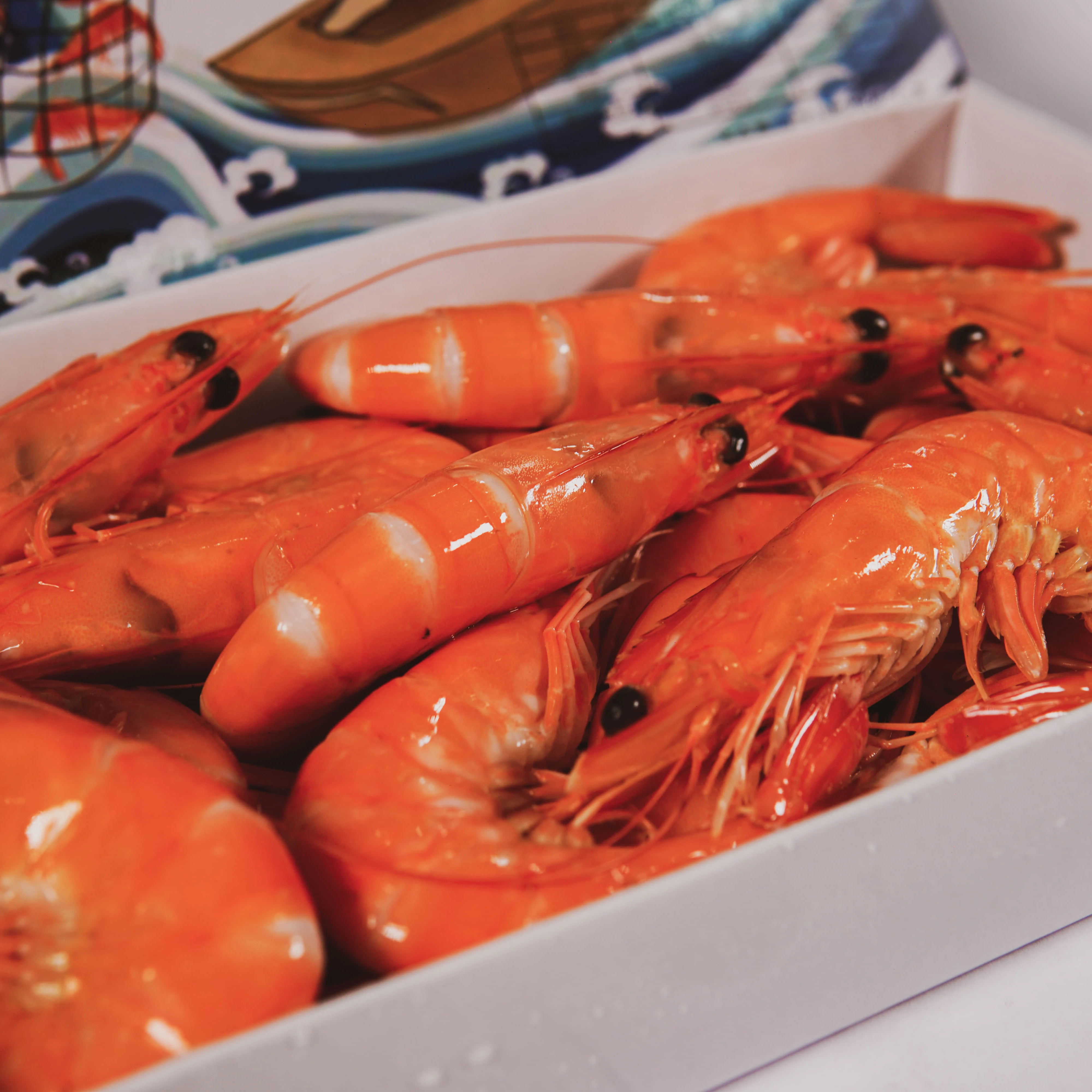 
frozen vannamei shrimp(cooked shrimp) from vietnam carton packaging haccp quality export 