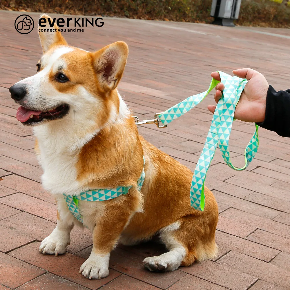 Yellow Pet Harness Chest Dog Harness Pet Strap Harness with matching color accessories