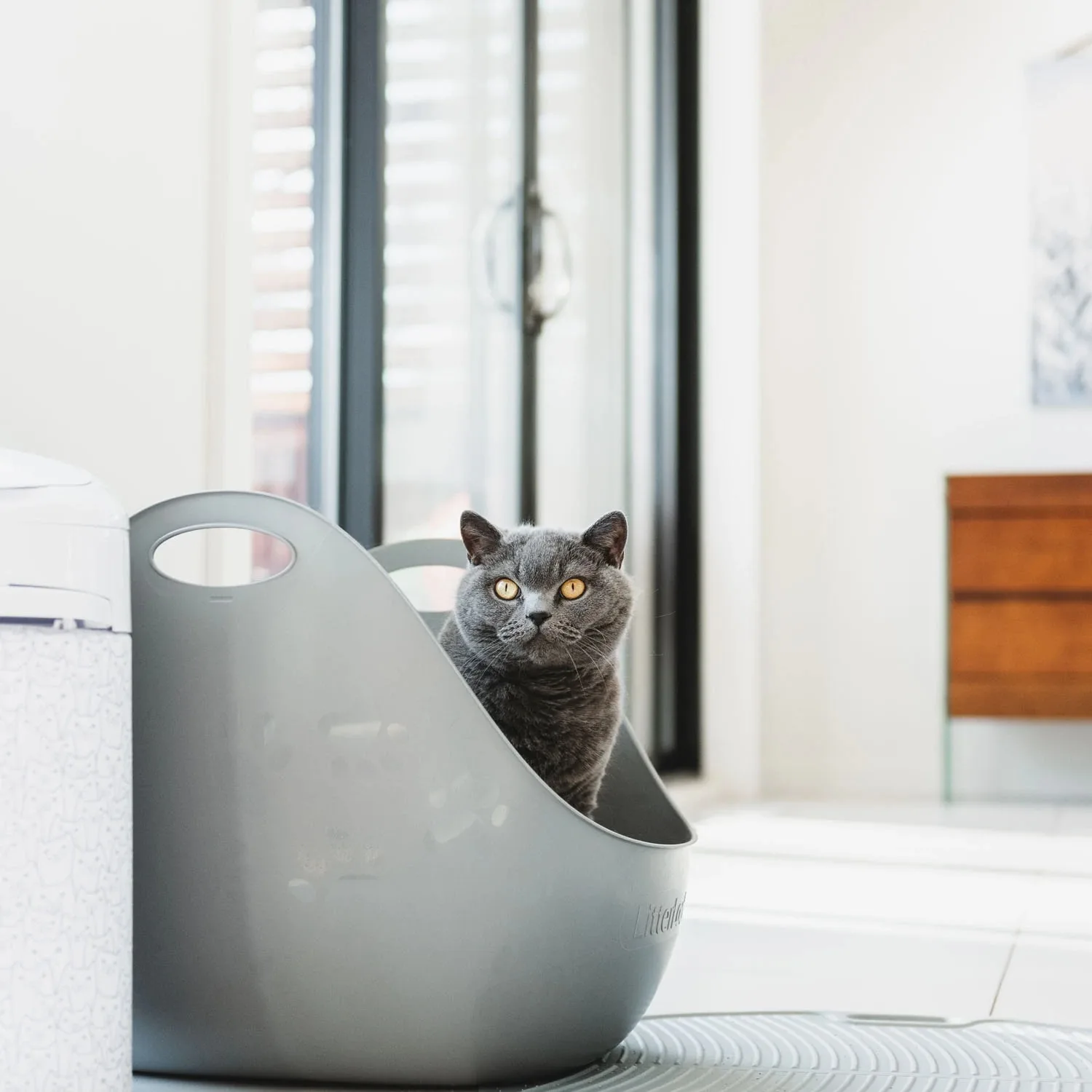 Large Capacity Cat Litter Box Semi-closed Plastic Sand Box for Cats Pet Toilet Anti Splash Cat Tray Cleaning Bath Basin Supplies