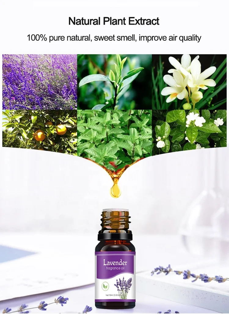 Custom Wholesale Water Soluble Essential Oil Gift Set Lavender Lemon Fragrance Essential Oil Humidifier Difuser Essential Oils