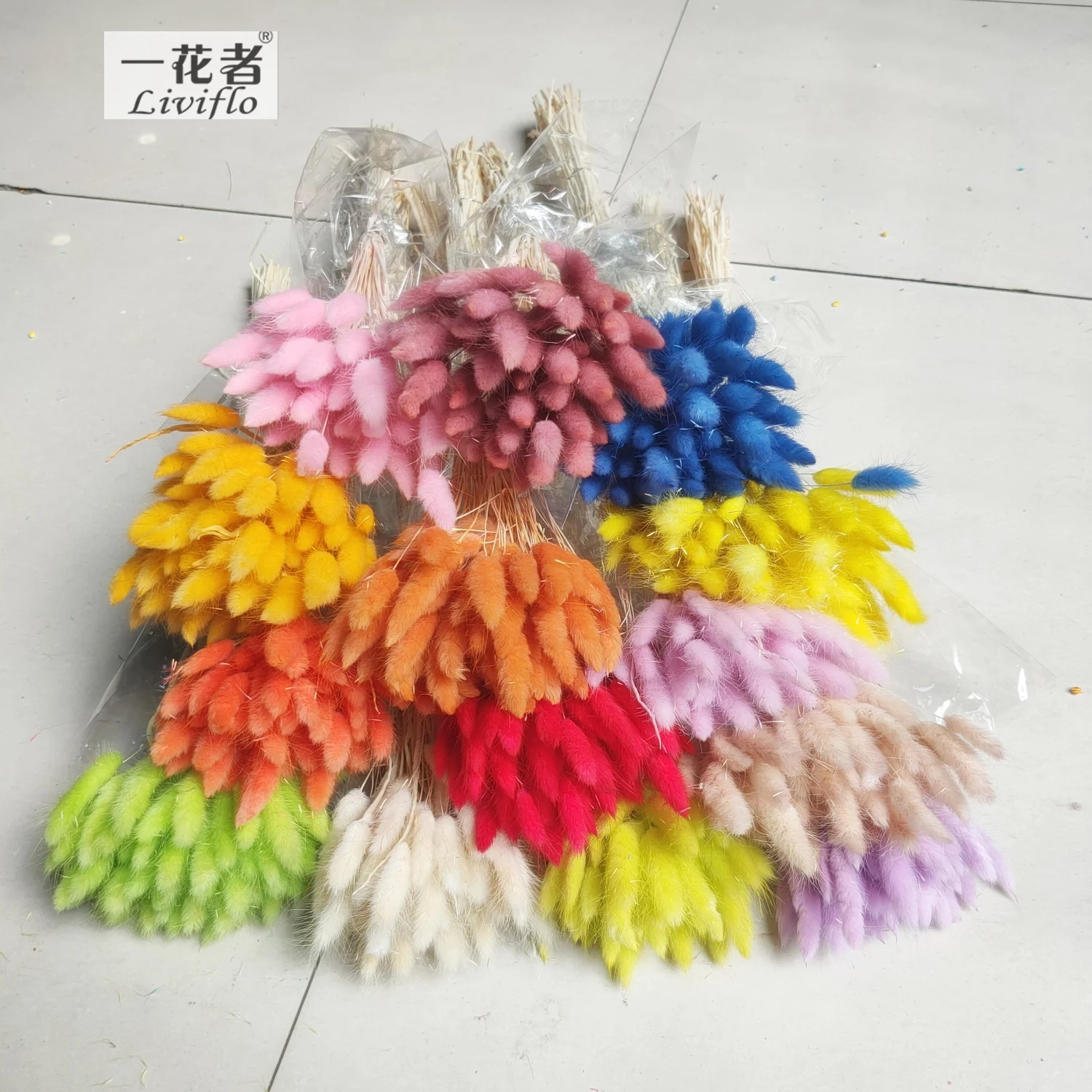 Dried lagurus ovatus bunny rabbit tail grass preserved forever flowers wedding design