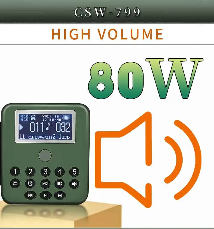 750CSW-799_08 - .jpg