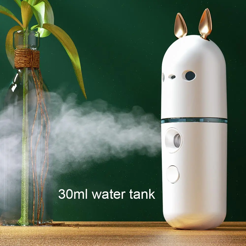 
New arrival custom private label cute animal alcohol nano face mist spray machine 