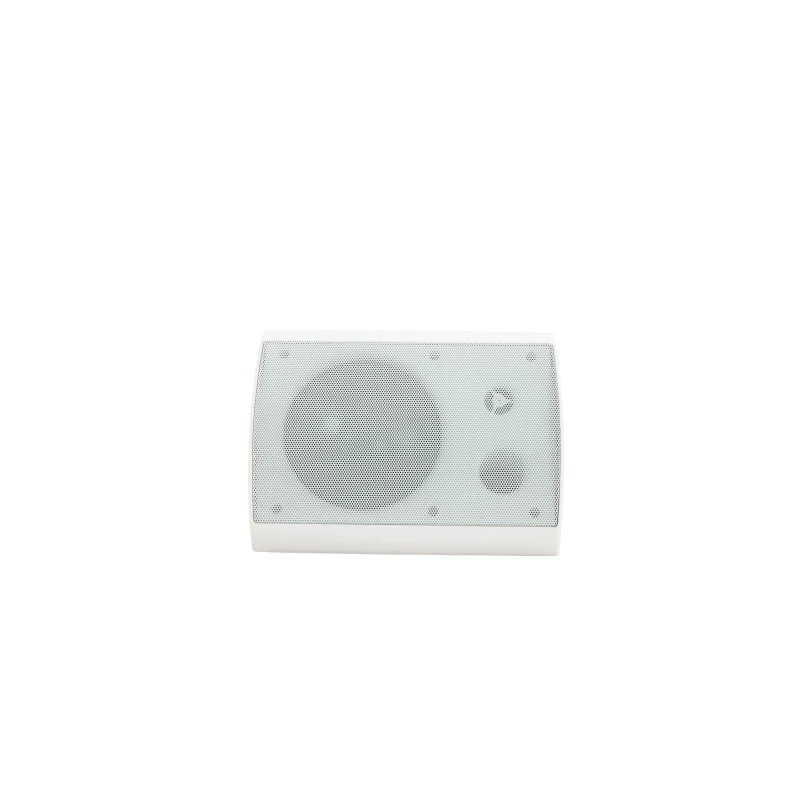 DUAL USE speaker factory hot-selling wall-mounted speakers suitable for various places multi-function speakers