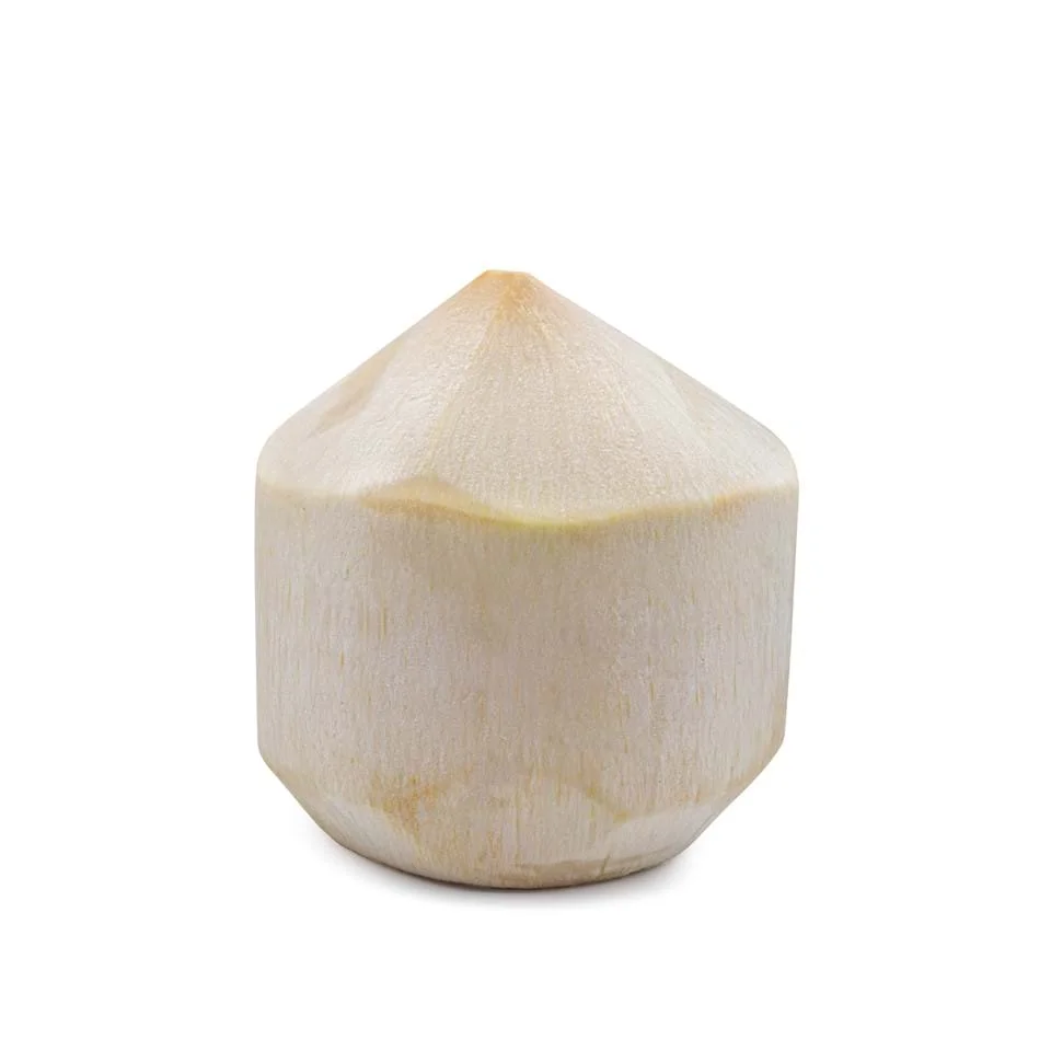 
100% natural sweet tasty diamond cut top cut fresh coconut semi husked coconut juice coconut water for export from Vietnam 