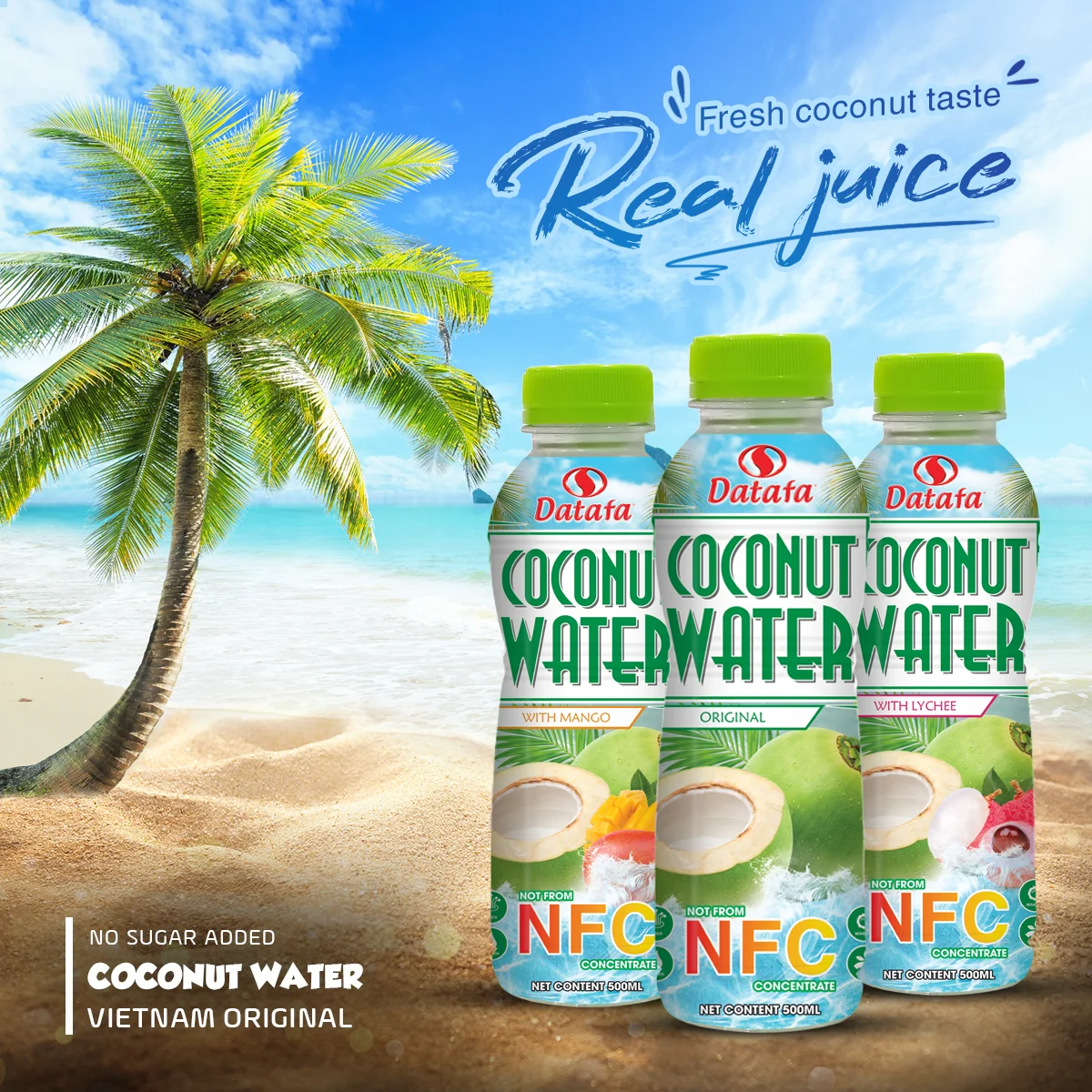 Coconut Drink Nfc Health Supplement Fruit Vegetable Juice Haccp Certification Customized Packaging No Sugar Vietnam