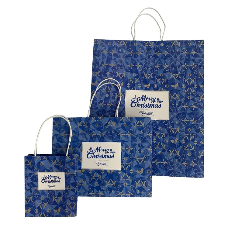 FSC Printed Twist Handle Promotional Christmas Gift Kraft Paper Bag